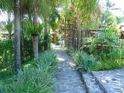 Le Jardin Des Palmes Hotel Anse a La Mouche Eksteriør billede